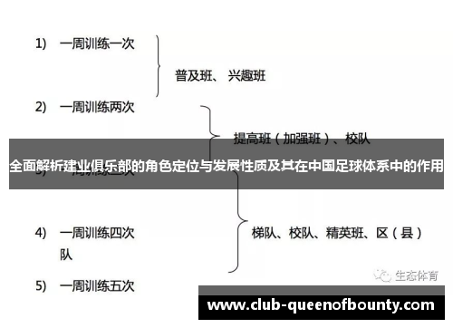 全面解析建业俱乐部的角色定位与发展性质及其在中国足球体系中的作用
