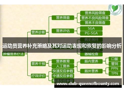 运动员营养补充策略及其对运动表现和恢复的影响分析